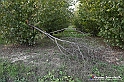 VBS_7712 - Andare lontano, oltre i campi da arare... e ancora più in là